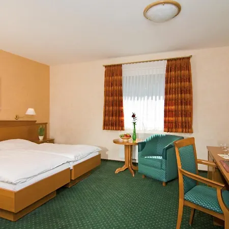 Hotel Puenjer